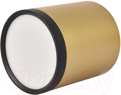 Потолочный светильник FAVOURITE 3082-1C