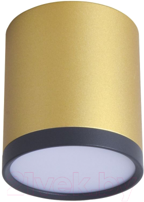 Потолочный светильник FAVOURITE 3082-1C