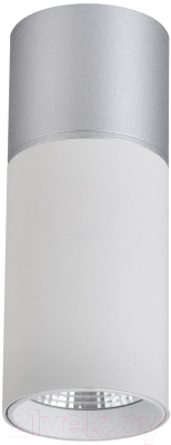 Потолочный светильник FAVOURITE 3071-1C - фото