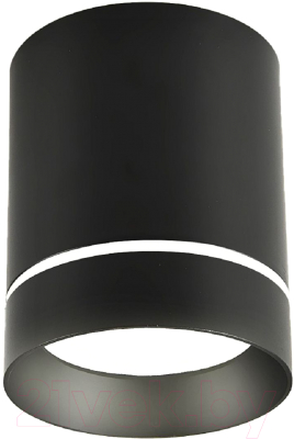 Потолочный светильник FAVOURITE 3063-1C - фото