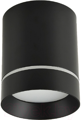 Потолочный светильник FAVOURITE 3063-1C