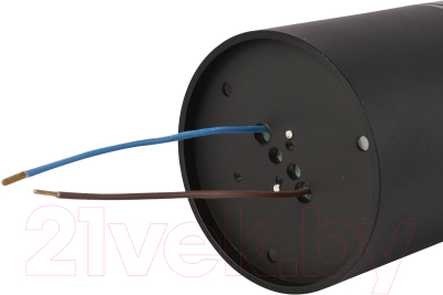 Потолочный светильник FAVOURITE 3063-1C