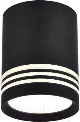 Потолочный светильник FAVOURITE 3066-1C - фото