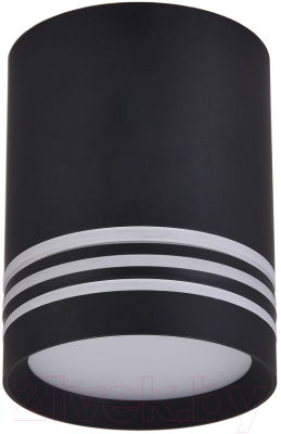 Потолочный светильник FAVOURITE 3066-1C