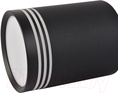 Потолочный светильник FAVOURITE 3066-1C