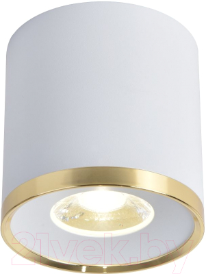 Потолочный светильник FAVOURITE 3085-2C