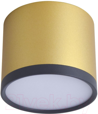 Потолочный светильник FAVOURITE 3082-2C - фото