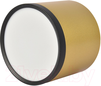 Потолочный светильник FAVOURITE 3082-2C