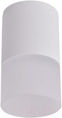 Потолочный светильник FAVOURITE 3069-1C - фото