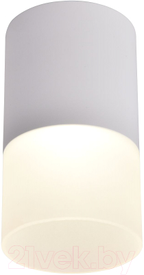 Потолочный светильник FAVOURITE 3069-1C