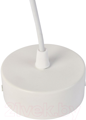 Потолочный светильник FAVOURITE 3078-1P