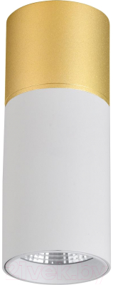 Потолочный светильник FAVOURITE 3073-1C - фото