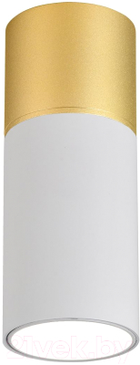 Потолочный светильник FAVOURITE 3073-1C