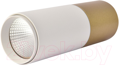 Потолочный светильник FAVOURITE 3073-1C