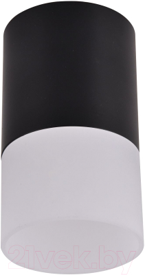 Потолочный светильник FAVOURITE 3070-1C - фото