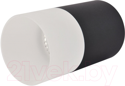 Потолочный светильник FAVOURITE 3070-1C