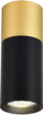 Потолочный светильник FAVOURITE 3074-1C