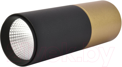 Потолочный светильник FAVOURITE 3074-1C