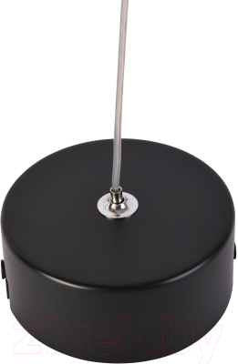 Потолочный светильник FAVOURITE 3079-1P