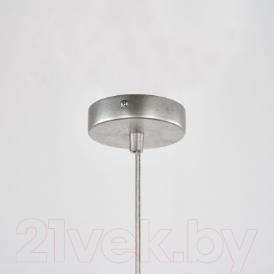 Потолочный светильник FAVOURITE 4010-3P