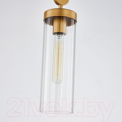 Потолочный светильник FAVOURITE 3099-1P