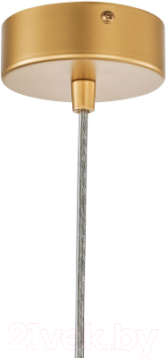 Потолочный светильник FAVOURITE 4008-2P