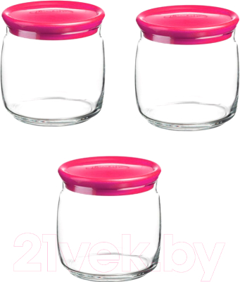 Набор емкостей для хранения Pasabahce Чешни 43003/1013391 - фото