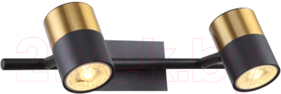 Спот FAVOURITE 3092-2W - фото