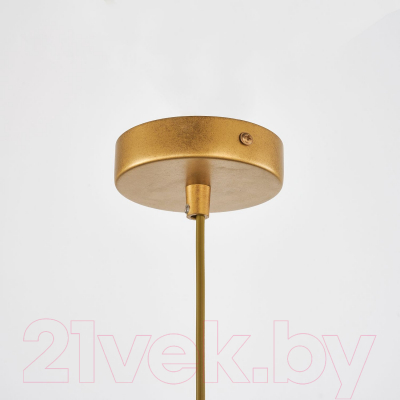 Потолочный светильник FAVOURITE 4011-3P