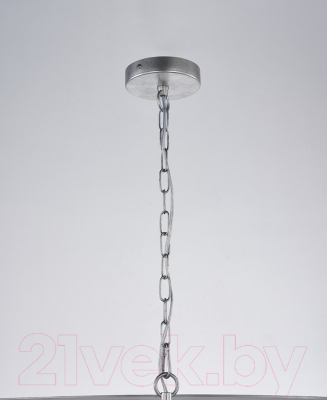 Потолочный светильник FAVOURITE 4010-3PC