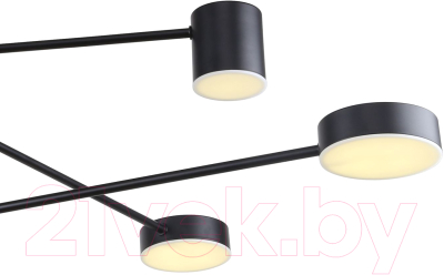 Люстра FAVOURITE 3094-6P