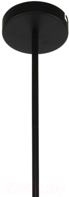 Люстра FAVOURITE 3094-6P