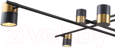 Люстра FAVOURITE 3092-10P