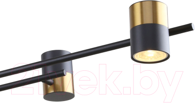 Люстра FAVOURITE 3092-8P