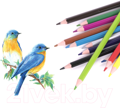 Набор цветных карандашей Юнландия Домики / 181836