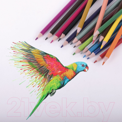 Набор цветных карандашей Юнландия Домики / 181837 