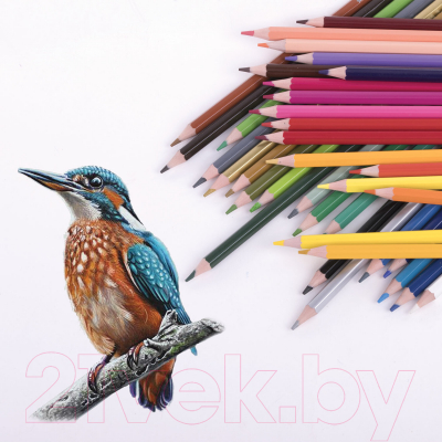 Набор цветных карандашей Юнландия Домики / 181839