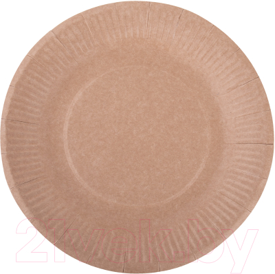 Набор одноразовых тарелок Laima Eco Craft / 608088