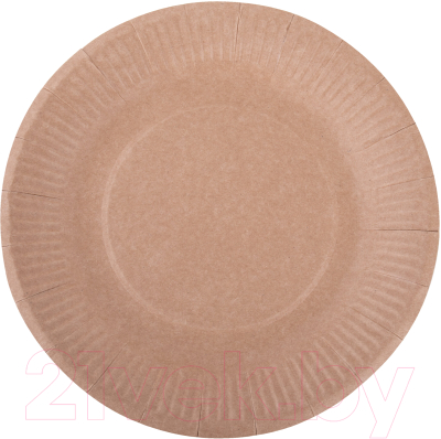 Набор одноразовых тарелок Laima Eco Craft / 608087