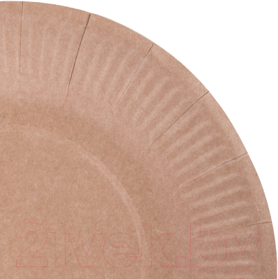 Набор одноразовых тарелок Laima Eco Craft / 608087