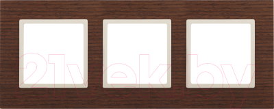 Рамка для выключателей и розеток ЭРА Elegance 14-5303-07 / Б0034580 - фото