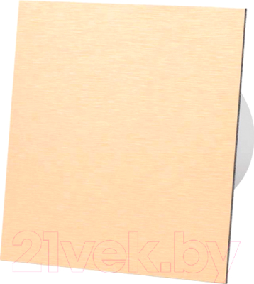 Вентилятор накладной AirRoxy dRim 100HS-C169 - фото