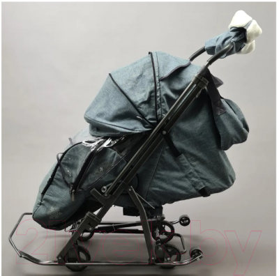 Санки-коляска GalaXy Kids 3-3С