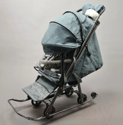 Санки-коляска GalaXy Kids 3-3С