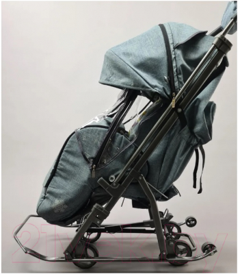 Санки-коляска GalaXy Kids 3-3С