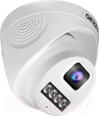 IP-камера Ginzzu HID-4301A - фото