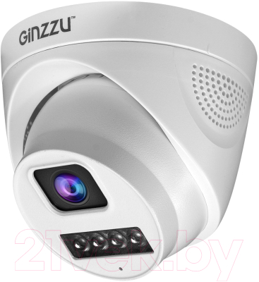 IP-камера Ginzzu HID-4301A