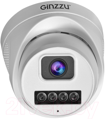 IP-камера Ginzzu HID-4301A