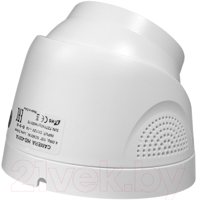 IP-камера Ginzzu HID-4301A