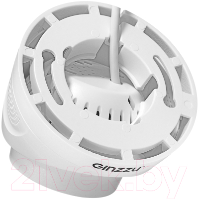 IP-камера Ginzzu HID-4301A